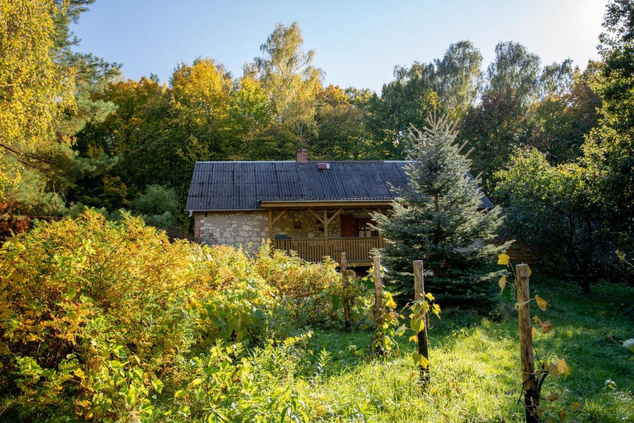Agroturystyka Siedlisko Wydry - Dom W Srodku Lasu Wierzchoniow Exterior foto